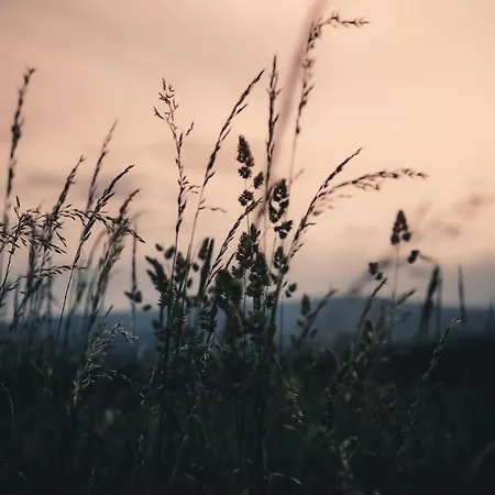 Apartamento Biorezydencja