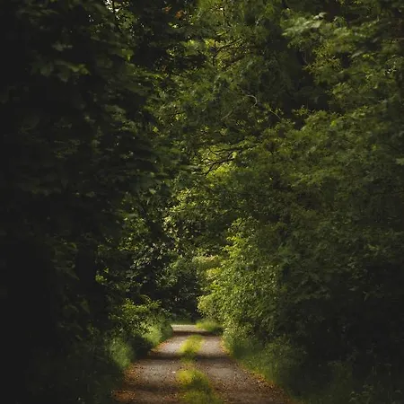 Biorezydencja Świeradów-Zdrój