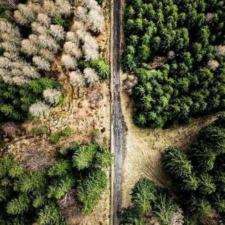 Biorezydencja * Сверадув-Здруй