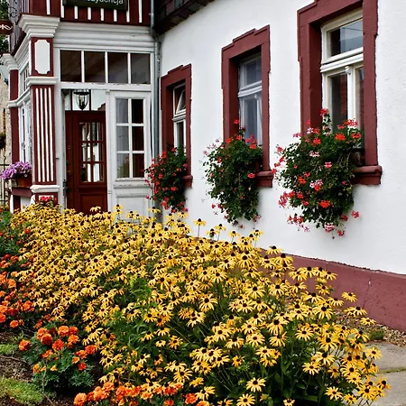 Appartement Biorezydencja *