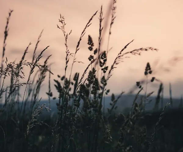 Apartment Biorezydencja