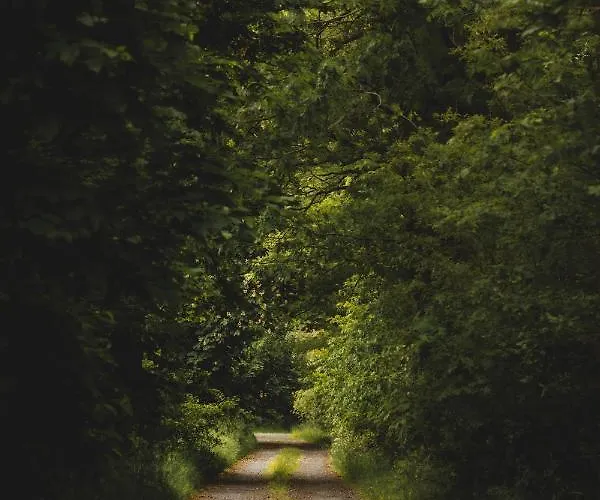 Biorezydencja Swieradow-Zdroj