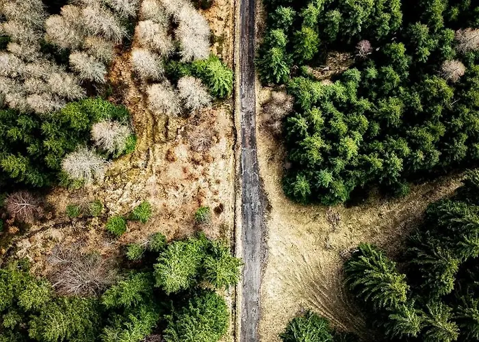 Biorezydencja * Swieradow-Zdroj