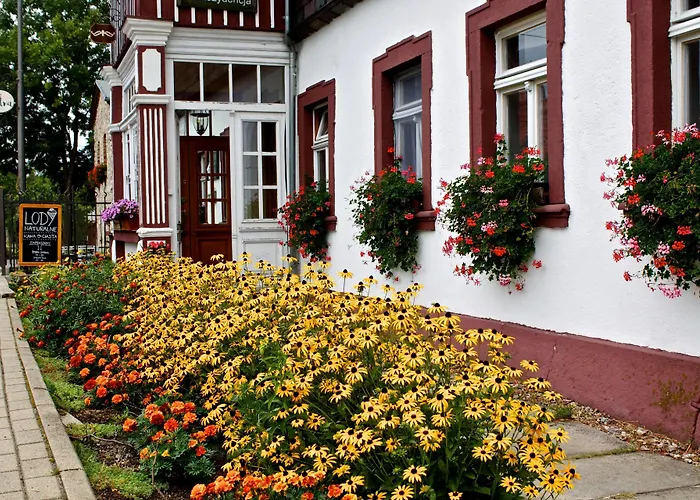 Apartment Biorezydencja *